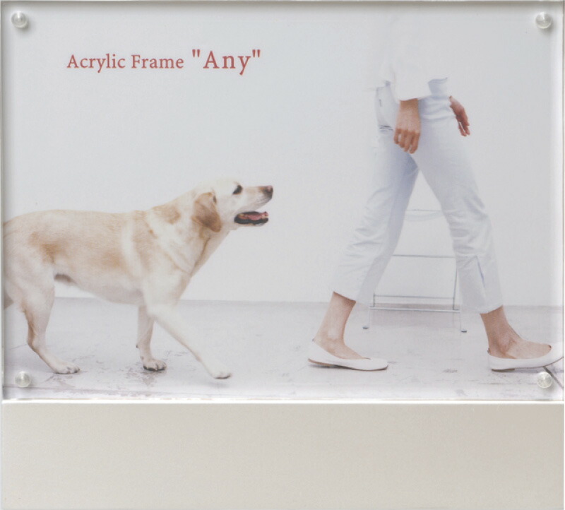 【ラッピング無料】アクリルフレームエニーポスト判 パールホワイト 100425 アルバム