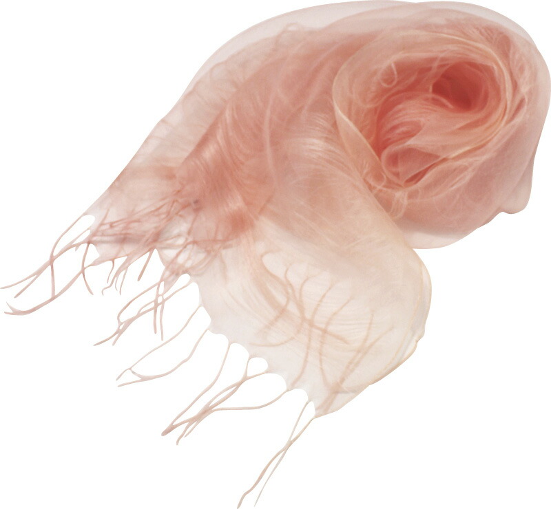 【ラッピング無料】国産 YUMEZAIKU さくら初め 桜染 絹二重羽衣スカーフ 73622 絹100% 日本製 レディーススカーフ