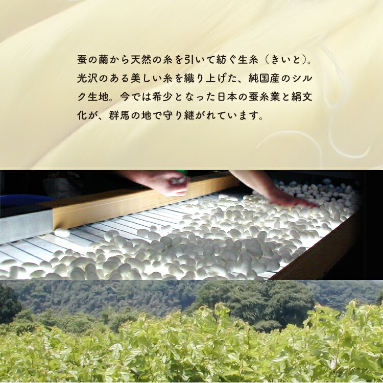 【送料無料】碓氷製糸 純国産シルク100% 半袖肌着　オフホワイト色 フリーサイズ サイズ(女性用) ぐんま200 絹 美容 保湿 天然 セリシン 敏感肌 日本製 レビュー おしゃれ - 画像 (5)