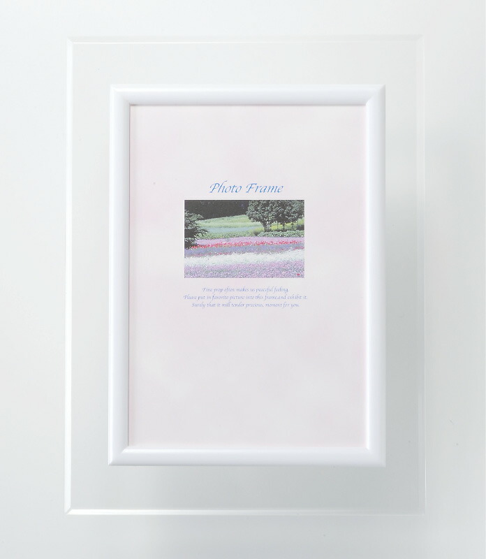 【ラッピング無料】国産 ペタッと貼り付け フォトフレーム DX 00770 日本製 絵画 フラワー アート