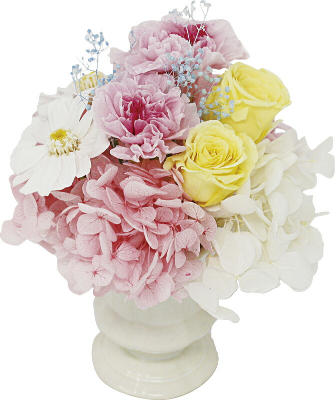 【ラッピング無料】国産 プリザーブドフラワーギフト ミニョン MF-10 日本製