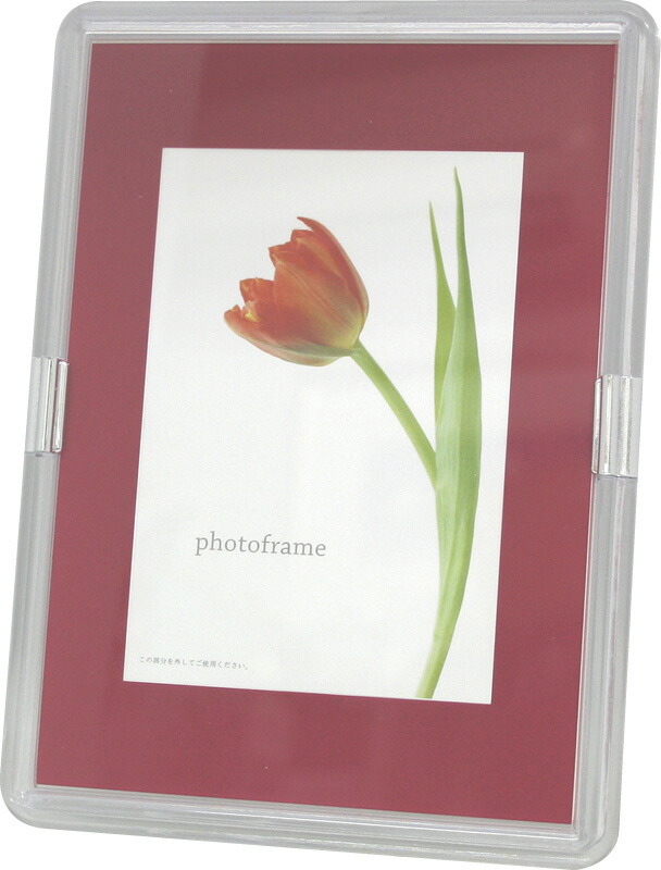 【ラッピング無料】国産 カラーフォトフレーム レッド 00503 日本製 絵画 フラワー アート