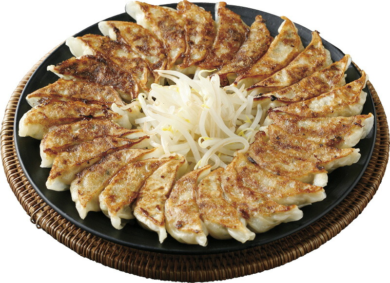 【ラッピング無料】はままつ餃子 G910045 レビュー キャンペーン