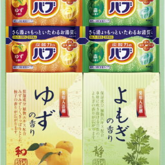 【ラッピング無料】炭酸 薬用入浴剤セット BKK-10 バブ レビュー