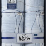 【ラッピング無料】国産 高島ちぢみ 肌掛けふとん 2P TT-1720 日本製 掛け布団