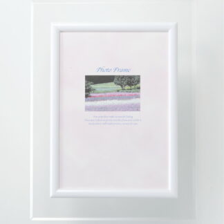 【ラッピング無料】国産 ペタッと貼り付け フォトフレーム DX 00770 日本製 絵画 フラワー アート