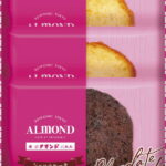 【ラッピング無料】アマンド ケーキセット AC-5 ショコラ チーズケーキ レモン