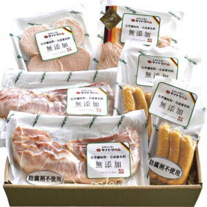 【ラッピング無料】サイトウハム 2017年ドイツDLG国際コンテスト金賞受賞店 素材の味を活かしたハム詰合せ SSR-50C ベーコンスライス パプリカリヨナスライス ボロニアソーセージ ソフトウインナー ポークウインナー