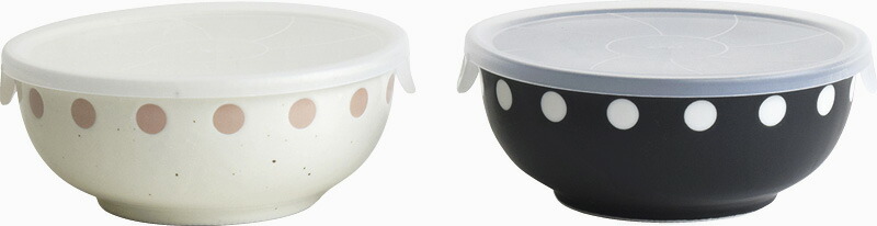 【ラッピング無料】国産 ドットレンジＬ ペア 230534 日本製 保存容器 キャニスター