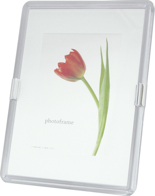 【ラッピング無料】国産 カラーフォトフレーム ホワイト 00473 日本製 絵画 フラワー アート