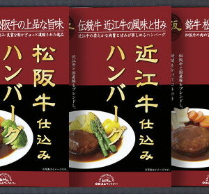 【ラッピング無料】飛騨高山ファクトリー 松阪牛・近江牛・飛騨牛仕込みハンバーグ & カレー詰合せ HBK-35 松阪牛仕込みハンバーグ 飛騨牛ビーフカレー 飛騨牛入りハンバーグカレー 近江牛仕込みハンバーグ