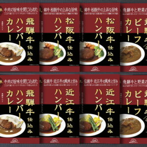 【ラッピング無料】飛騨高山ファクトリー 松阪牛・近江牛・飛騨牛仕込みハンバーグ & カレー詰合せ HBK-50 飛騨牛ビーフカレー 飛騨牛入りハンバーグカレー 松阪牛仕込みハンバーグ 近江牛仕込みハンバーグ