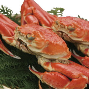 【ラッピング無料】ずわい蟹2杯 KMJ001 レビュー キャンペーン