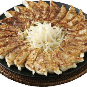 【ラッピング無料】はままつ餃子 G910045 レビュー キャンペーン