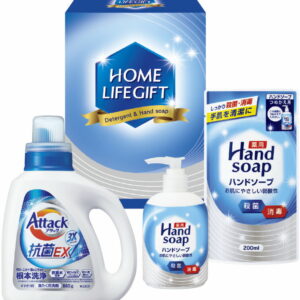 【ラッピング無料】ホームライフギフト HLG-20 薬用ハンドソープ 薬用ハンドソープ詰替用